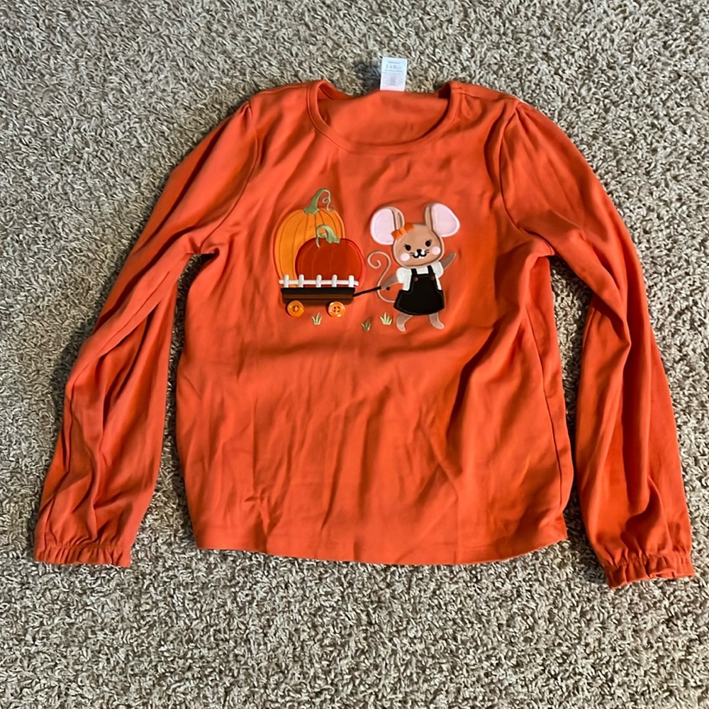 Long sleeve embroidered pumpkin top